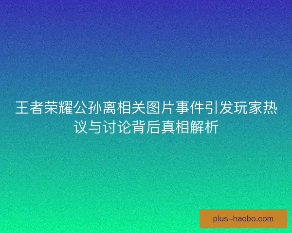 王者荣耀公孙离相关图片事件引发玩家热议与讨论背后真相解析