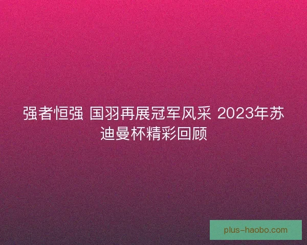 强者恒强 国羽再展冠军风采 2023年苏迪曼杯精彩回顾