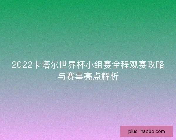 2022卡塔尔世界杯小组赛全程观赛攻略与赛事亮点解析